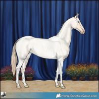 Horse Color:Perlino Roan Tobiano 