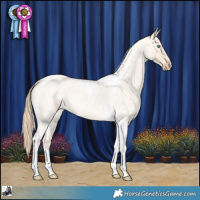Horse Color:Perlino Roan Tobiano 