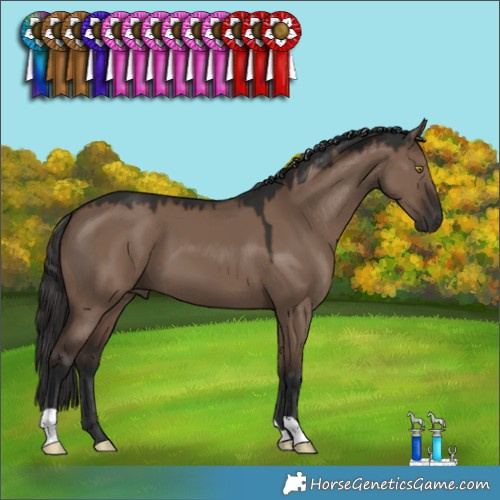 Horse Color:Liver Red Dun 