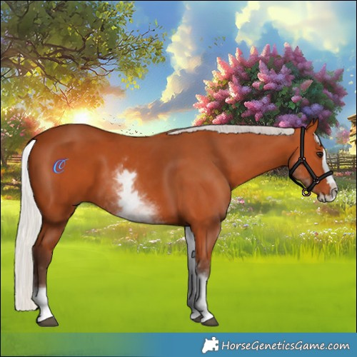 Horse Color:White Spotted Silver Bay Splash 