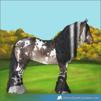 Horse Color:White Spotted Brown Dun Brindle