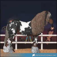 Horse Color:White Spotted Liver Chestnut 