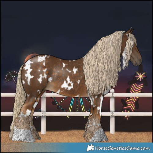 Horse Color:White Spotted Chocolate Palomino Rabicano 