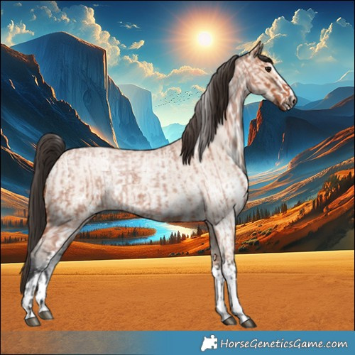 Horse Color:Bay Roan Sabino Rabicano  and Bay Roan Dun Sabino Rabicano 