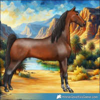 Horse Color:Bay Sabino 