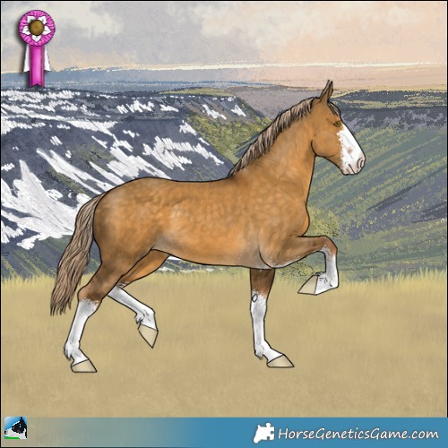 Horse Color:Chocolate Palomino Dun Sabino 