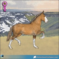 Horse Color:Chocolate Palomino Dun Sabino 