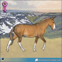 Horse Color:Chocolate Palomino Dun Sabino 