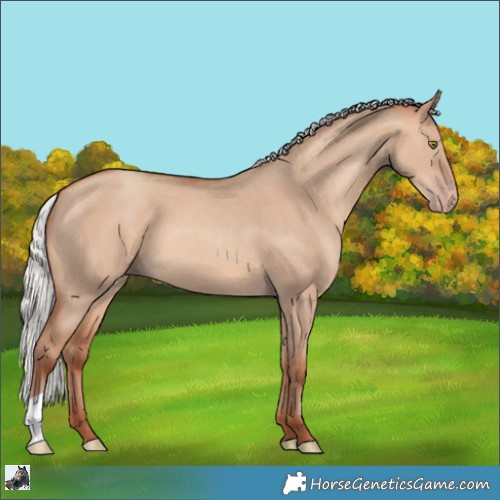 Horse Color:Silver Sable Champagne Dun 