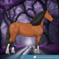 Horse Color:Bay Tobiano 