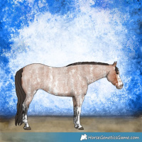 Horse Color:Bay Roan Sabino Rabicano  and Bay Roan Sabino Rabicano 