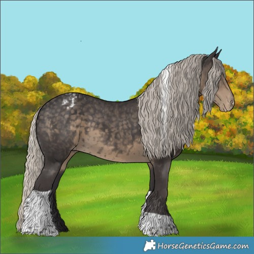 Horse Color:Silver Smoky Black Tobiano Appaloosa 