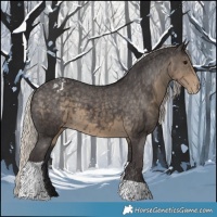 Horse Color:Silver Smoky Black Tobiano Snowcap 