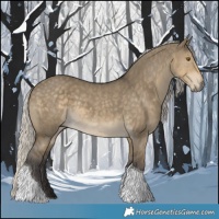 Horse Color:Silver Smoky Grullo Tobiano 
