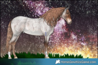 Horse Color:Liver Red Roan 