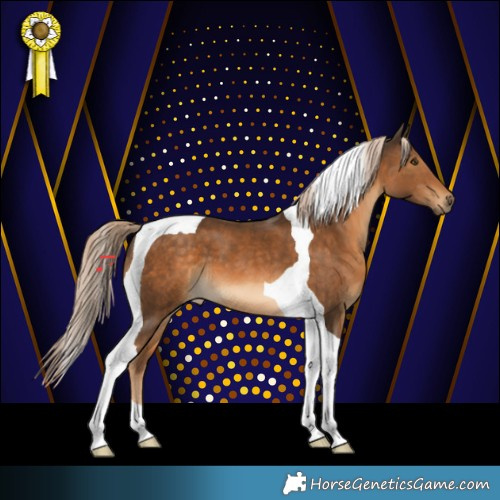 Horse Color:Chocolate Palomino Mushroom Tobiano 