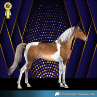 Horse Color:Chocolate Palomino Mushroom Tobiano 