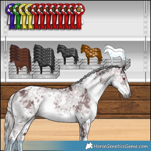 Horse Color:White Spotted Chocolate Silver Smoky Black Chinchilla Ice 