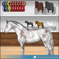 Horse Color:White Spotted Chocolate Silver Smoky Black Chinchilla Ice