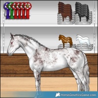 Horse Color:White Spotted Chocolate Silver Smoky Black Chinchilla Ice