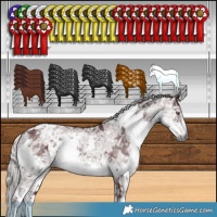 Horse Color:White Spotted Chocolate Silver Smoky Black Chinchilla Ice 