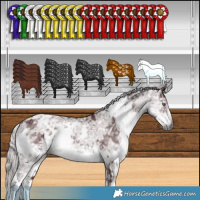 Horse Color:White Spotted Chocolate Silver Smoky Black Chinchilla Ice 