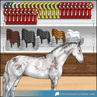 Horse Color:White Spotted Chocolate Silver Smoky Black Chinchilla Ice 