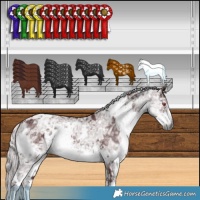 Horse Color:White Spotted Chocolate Silver Smoky Black Chinchilla Ice 