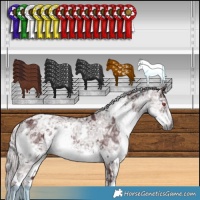 Horse Color:White Spotted Chocolate Silver Smoky Black Chinchilla Ice 