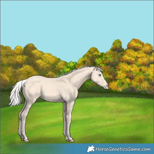 Horse Color:Silver Perlino 