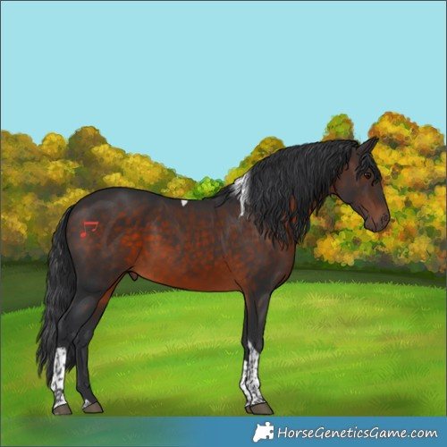 Horse Color:Brown Tobiano Rabicano 