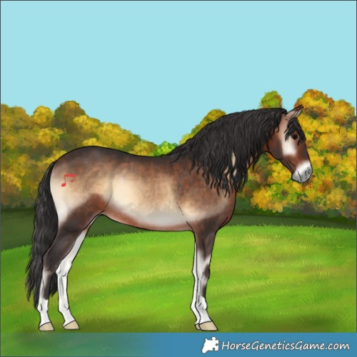 Horse Color:Bay Onyx Rabicano 