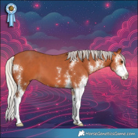 Horse Color:Silver Bay Sabino 