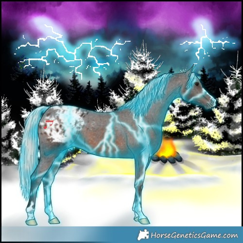 Horse Color:Thunderstruck Silver Brown Appaloosa 