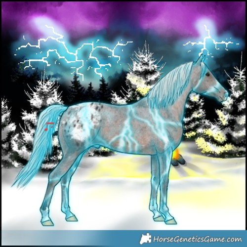 Horse Color:Thunderstruck Silver Brown Appaloosa 