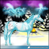 Horse Color:Thunderstruck Silver Brown Appaloosa