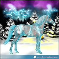 Horse Color:Thunderstruck Silver Brown Appaloosa