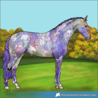 Horse Color:Nacre Watercolor White Spotted Buckskin Ice Dun 