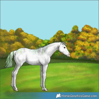 Horse Color:Watercolor White Spotted Bay Ice Splash 