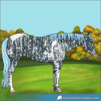 Horse Color:Watercolor White Spotted Black Ice  and Painted Watercolor Midnight Black Ice Splash Tobiano 