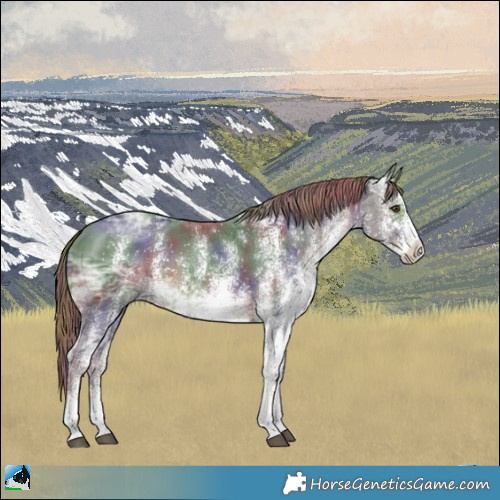 Horse Color:Nacre White Spotted Liver Chestnut Ice Rabicano 