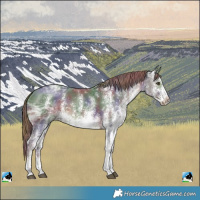 Horse Color:Nacre White Spotted Liver Chestnut Ice Rabicano 