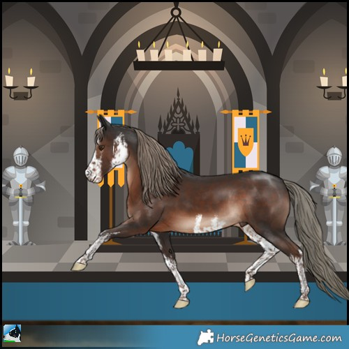 Horse Color:White Spotted Liver Chestnut Mushroom Rabicano 