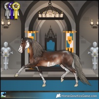 Horse Color:White Spotted Liver Chestnut Mushroom Rabicano 