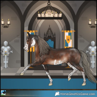 Horse Color:White Spotted Liver Chestnut Mushroom Rabicano 