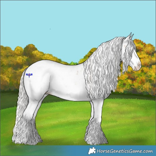 Horse Color:Silver Bay Sabino Splash Blanket Rabicano 
