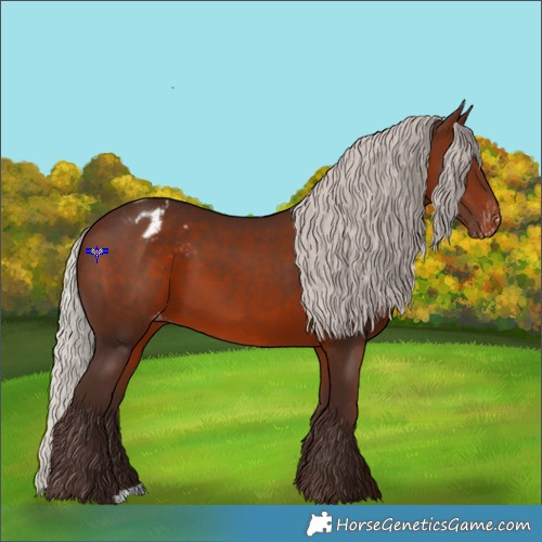 Horse Color:Silver Brown Varnish 