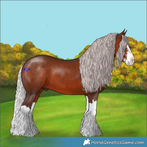 Horse Color:Silver Brown Sabino Splash 