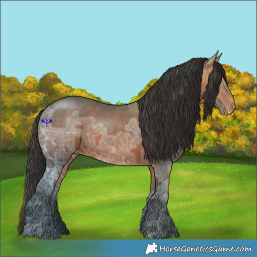 Horse Color:Brown Ice Appaloosa 