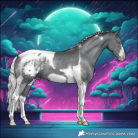 Horse Color:Silver Black Chinchilla Tobiano Frame Blanket